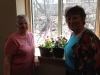 container gardening 2014