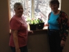 container gardening 2014